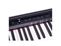 OQAN QK88P Piano Digital para Iniciantes 88 Teclas Semipesadas OQAN QK88P Piano Digital para Iniciantes 88 Teclas Semipesadas